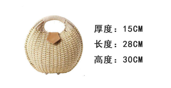 Beach Shell Rattan Straw Handbags - Image 10